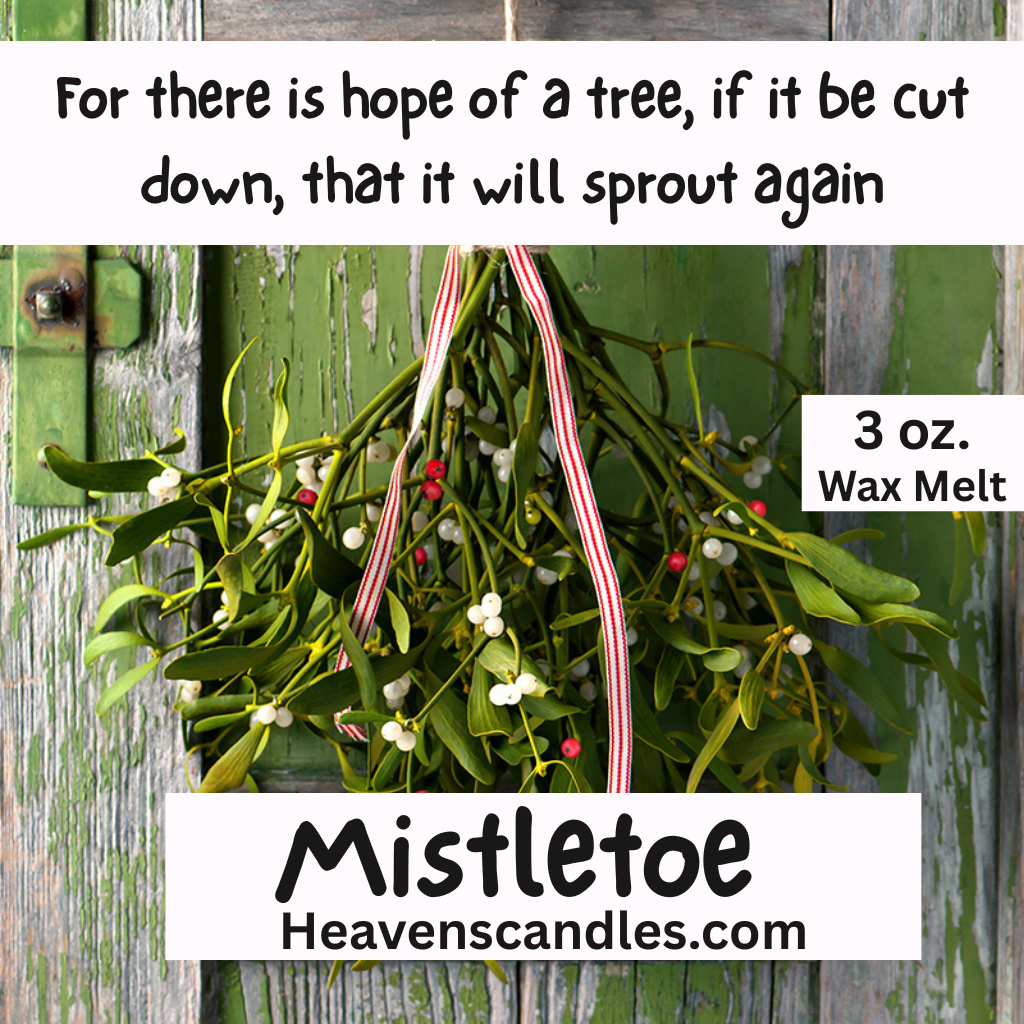 Mistletoe (Mild)
