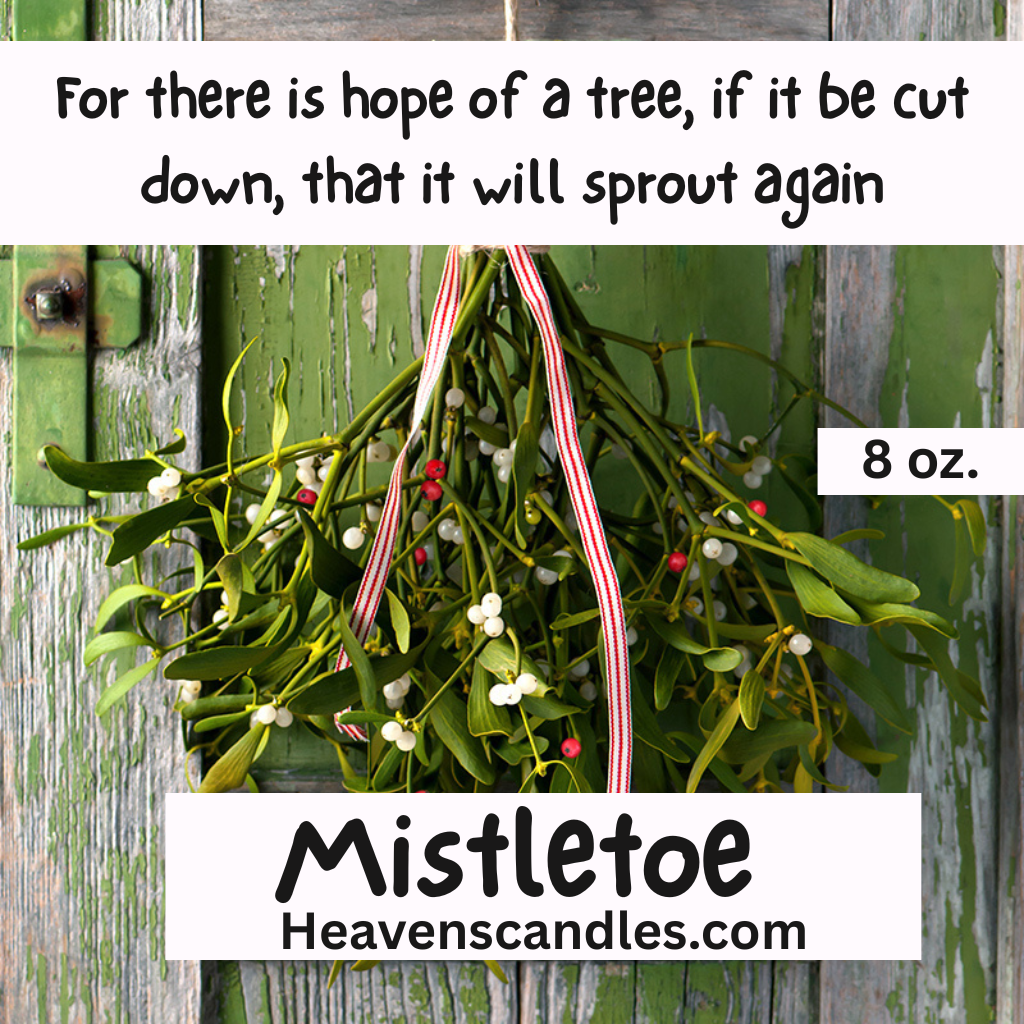 Mistletoe (Mild)