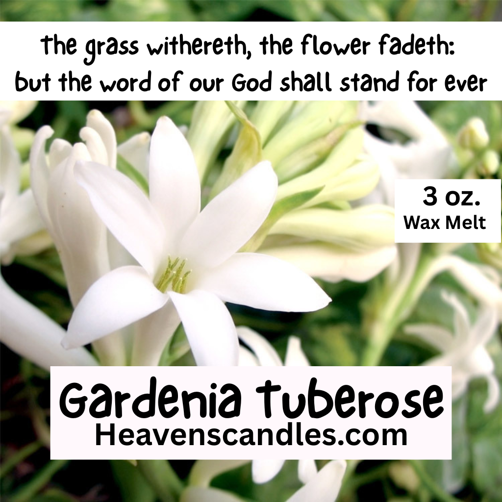 Gardenia Tuberose (Strong)
