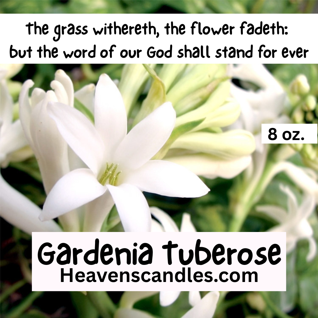Gardenia Tuberose (Strong)