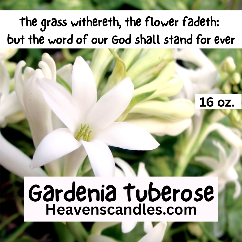 Gardenia Tuberose (Strong)