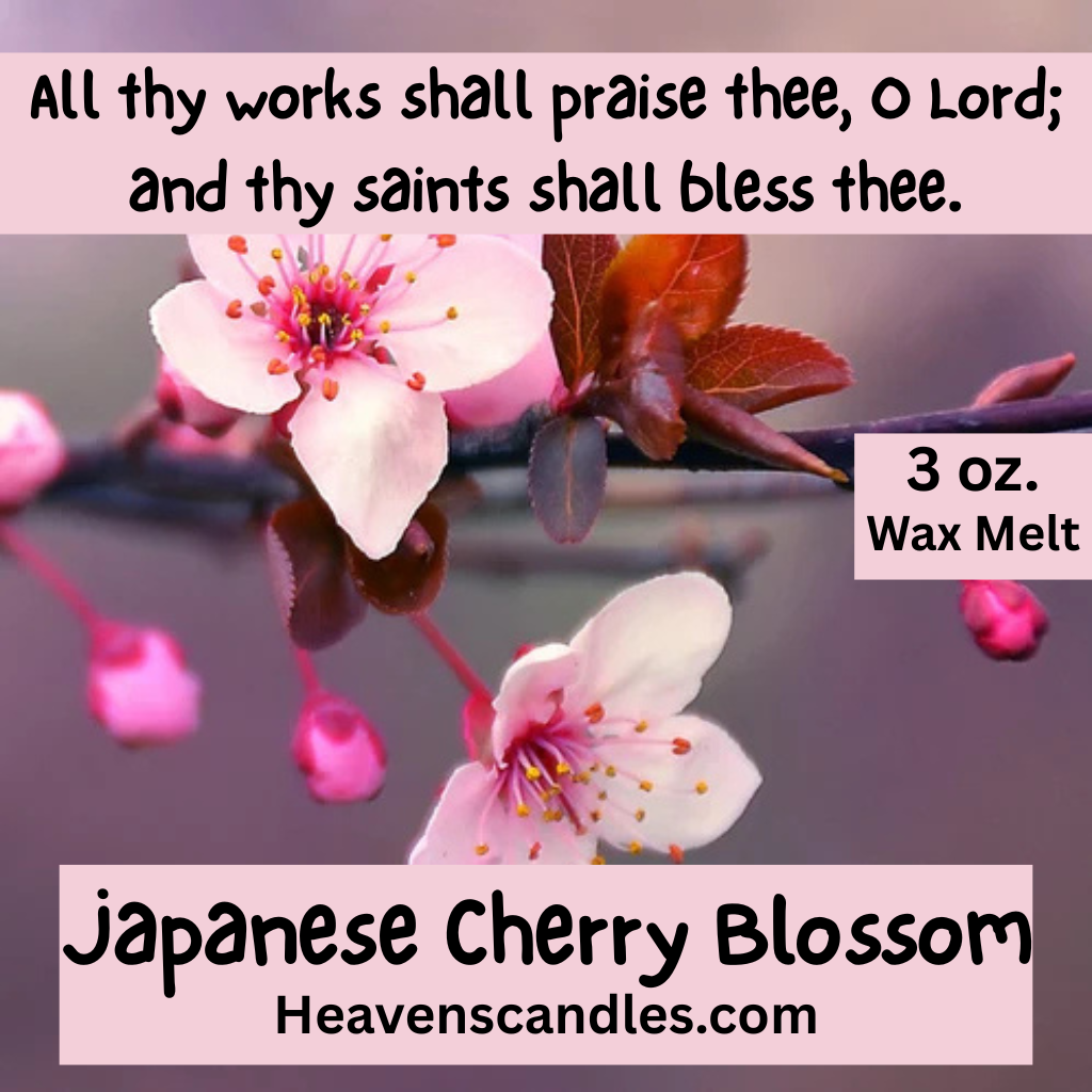 Japanese Cherry Blossom (Strong)