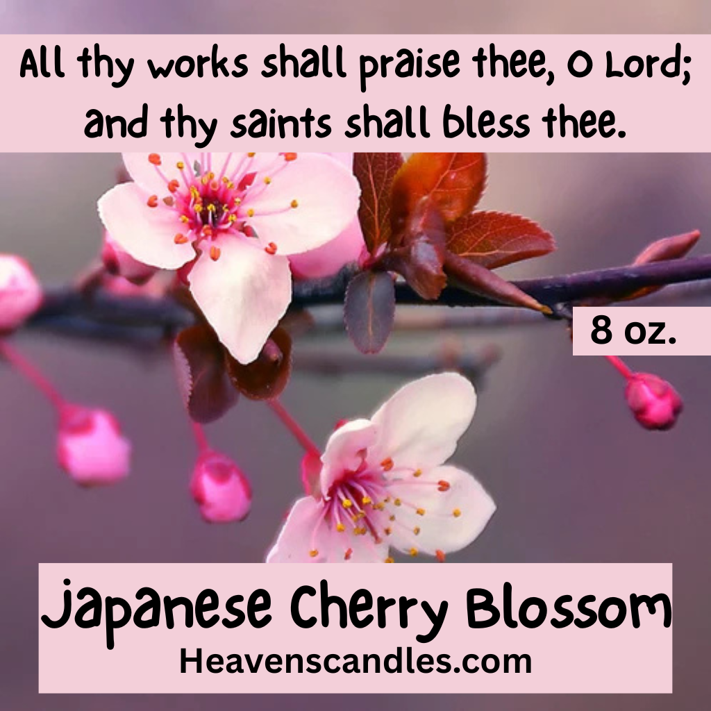 Japanese Cherry Blossom (Strong)