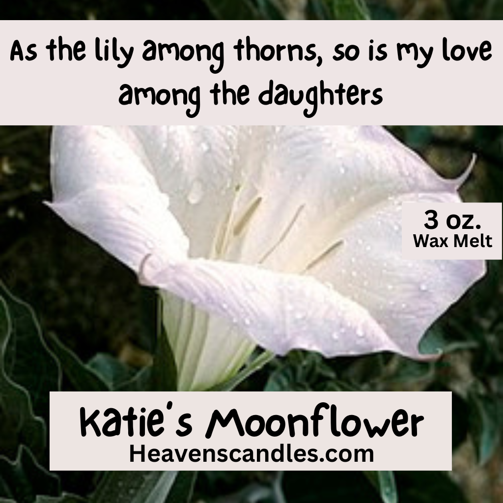 Katie’s Moonflower (Strong)
