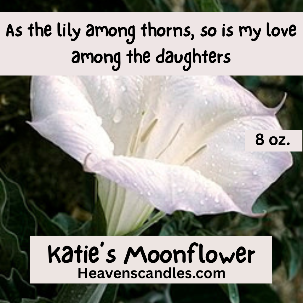 Katie’s Moonflower (Strong)
