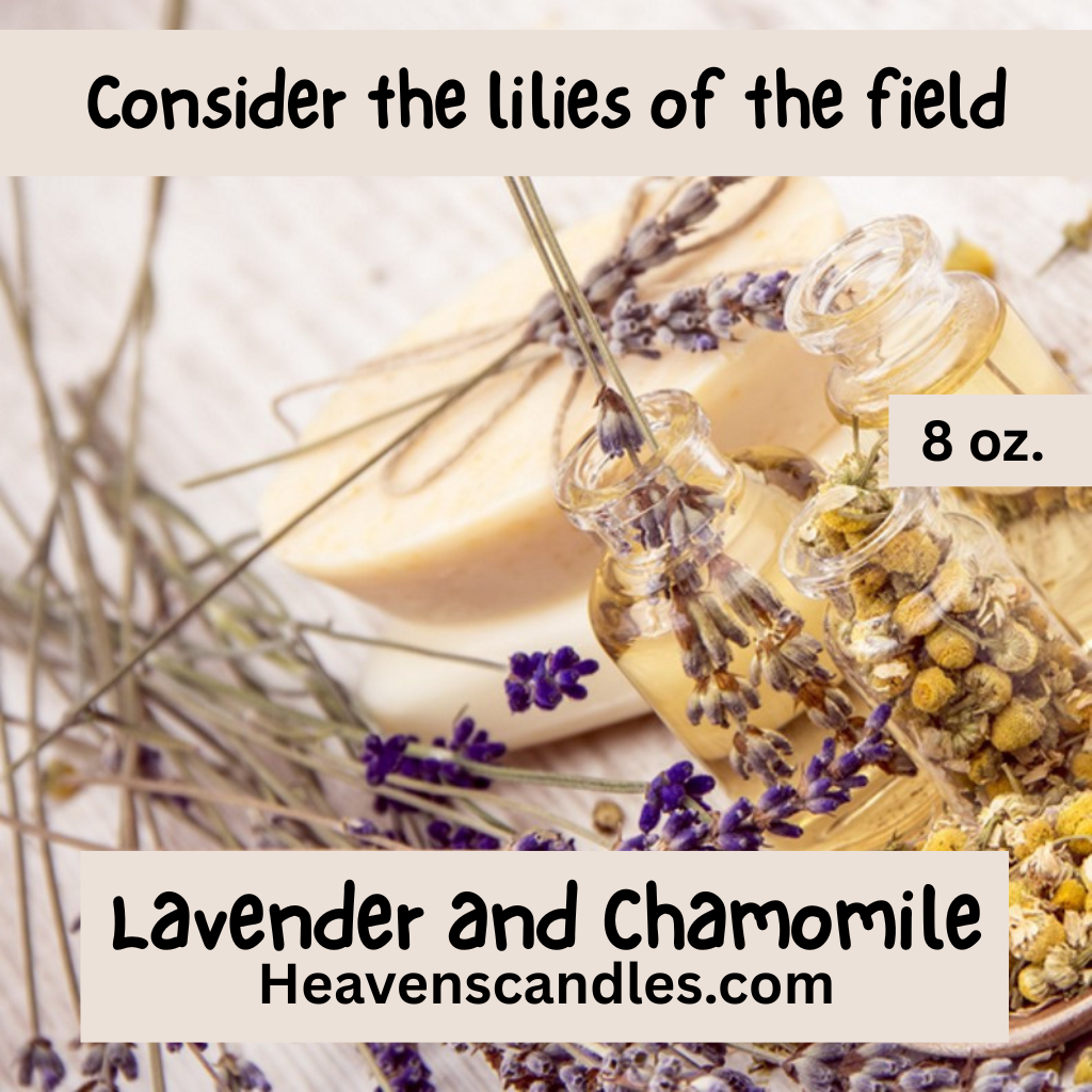 Lavender Chamomile