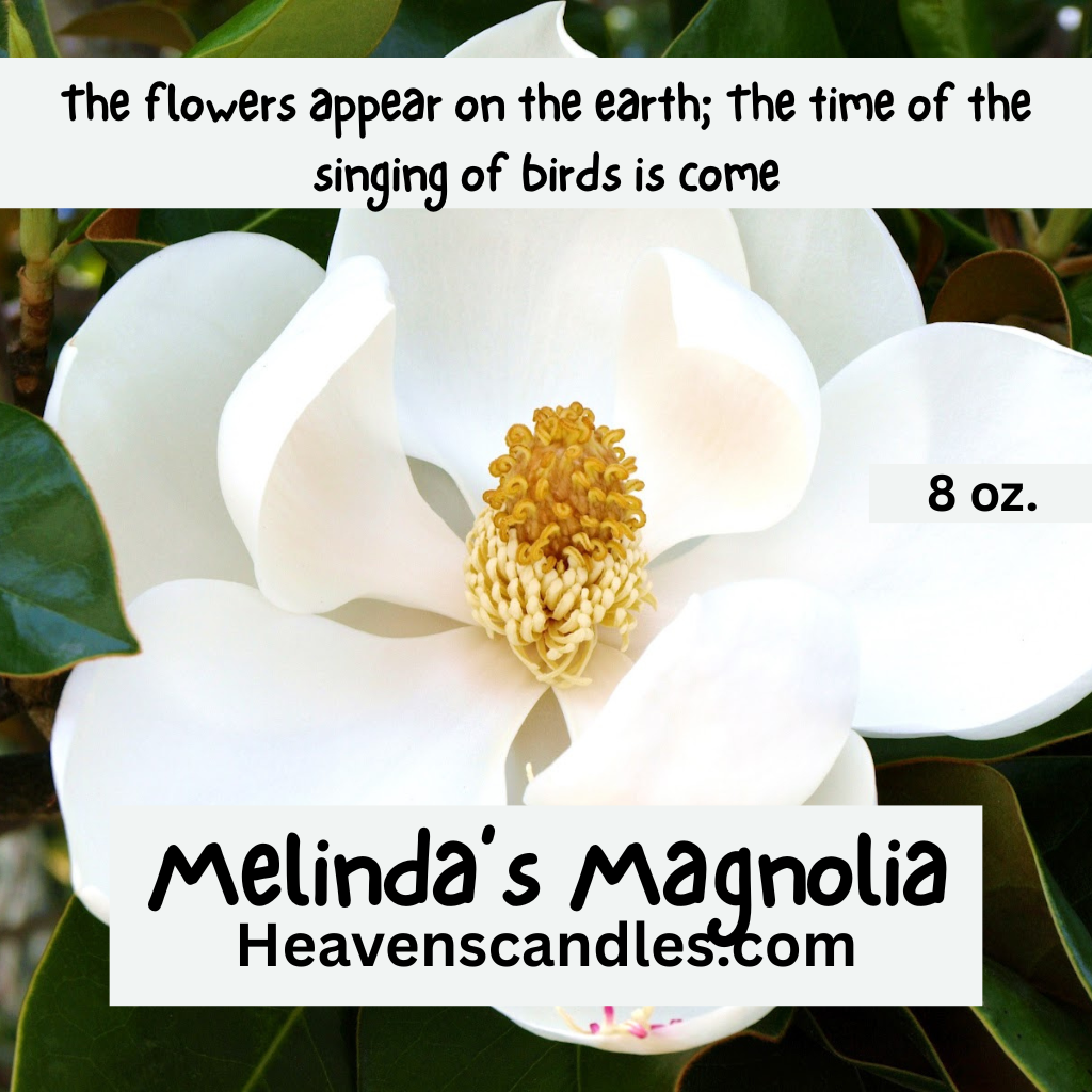 Melinda’s Magnolia (Mild)