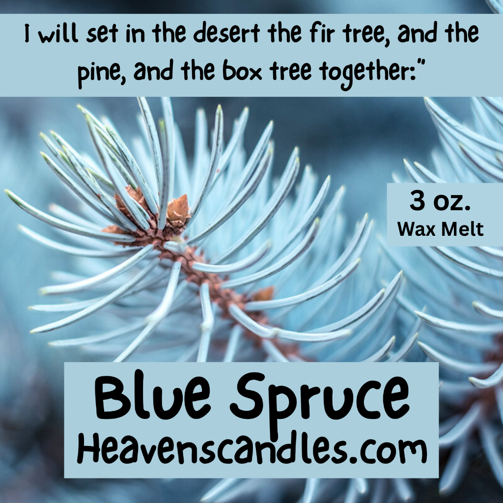 Blue Spruce (Mild)