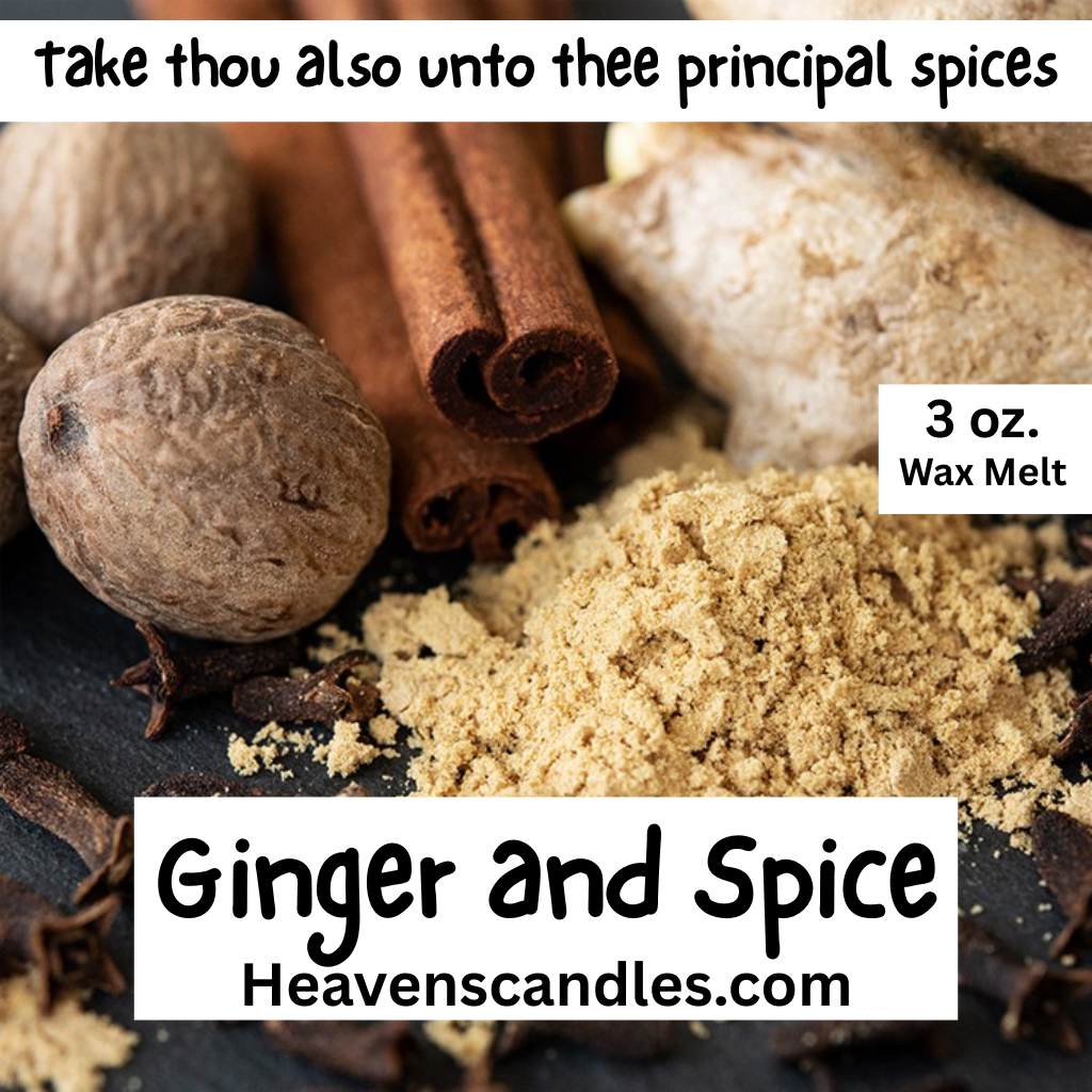 Strong 3 oz. Wax Melts