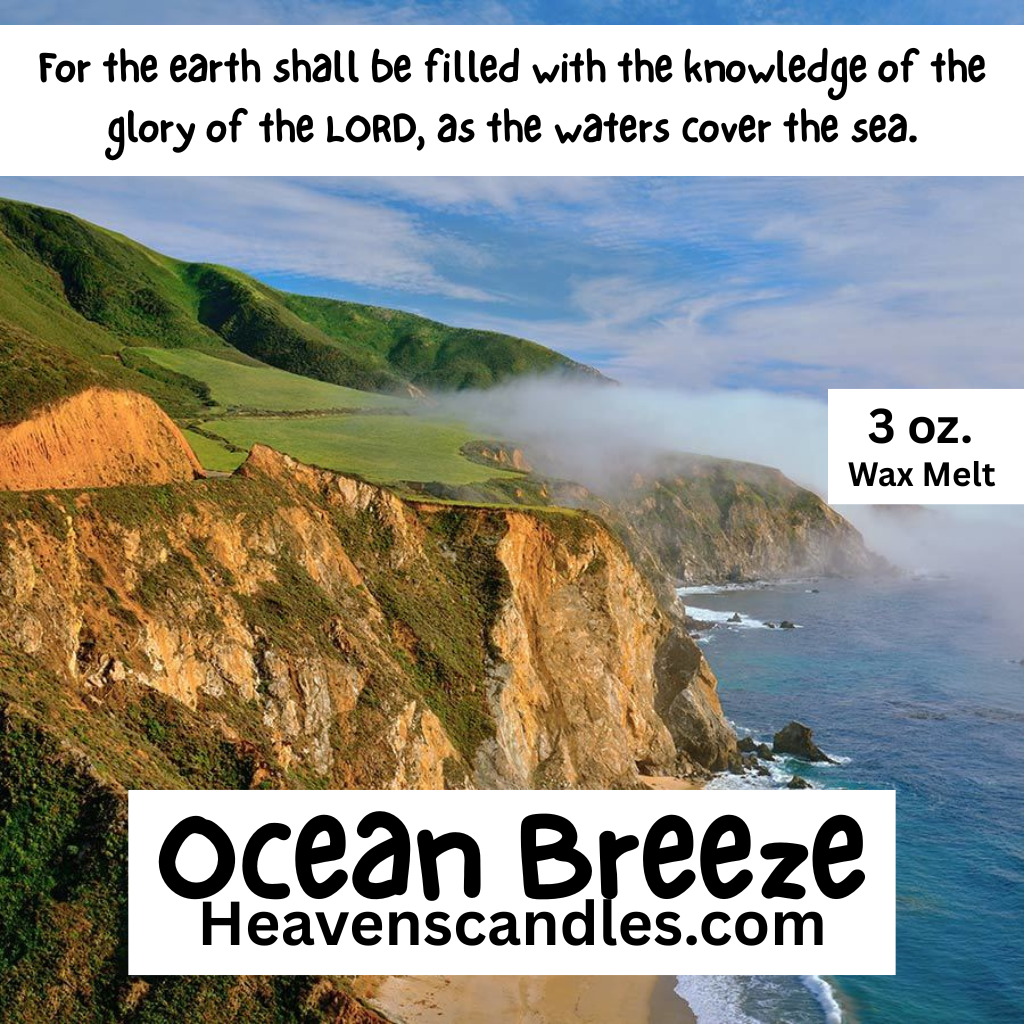 Strong 3 oz. Wax Melts
