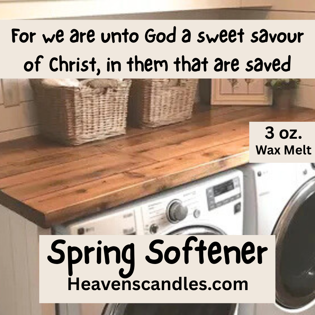 Strong 3 oz. Wax Melts