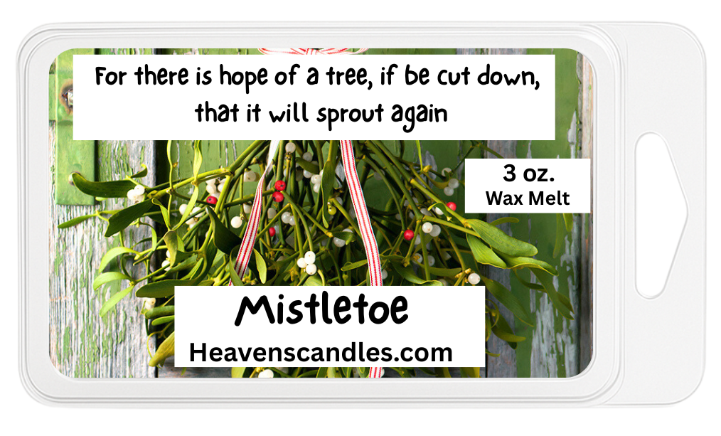 Winter Wax Melts