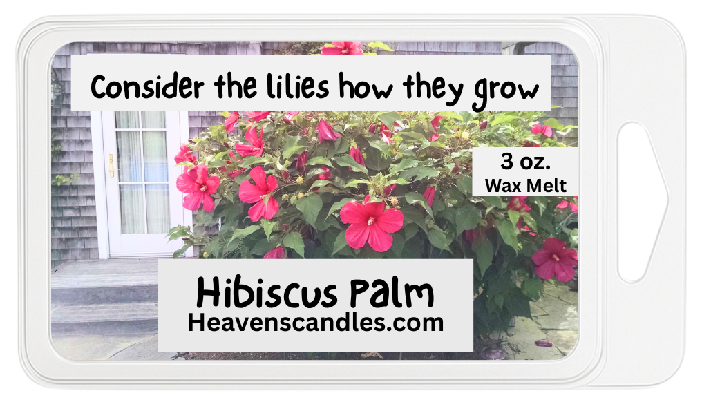 Spring Wax Melts