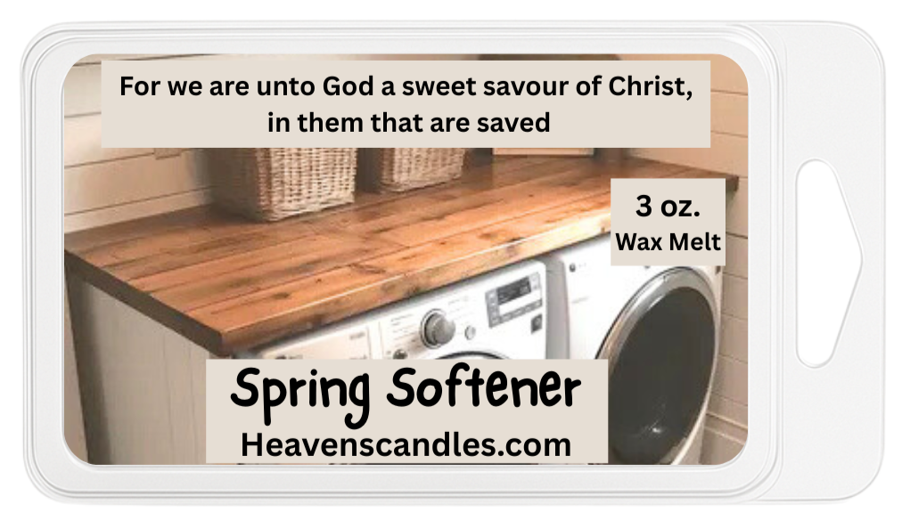 Spring Softener (like Downy) 3 oz. Wax Melt