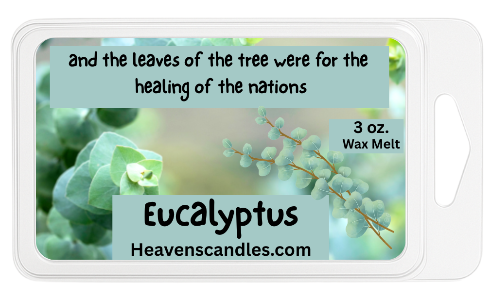 Eucalyptus 3 oz. Wax Melt