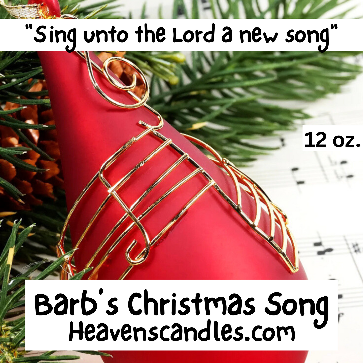 Barb's Christmas Song (Mild)