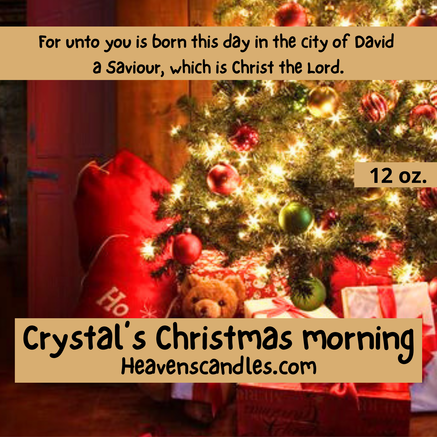 Crystal’s Christmas Morning (Mild)