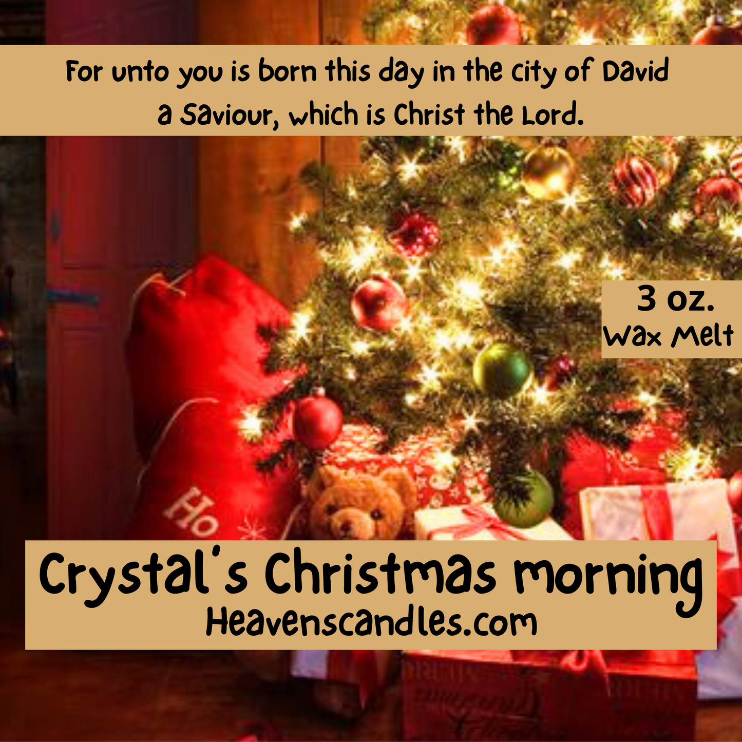 Crystal’s Christmas Morning (Mild)