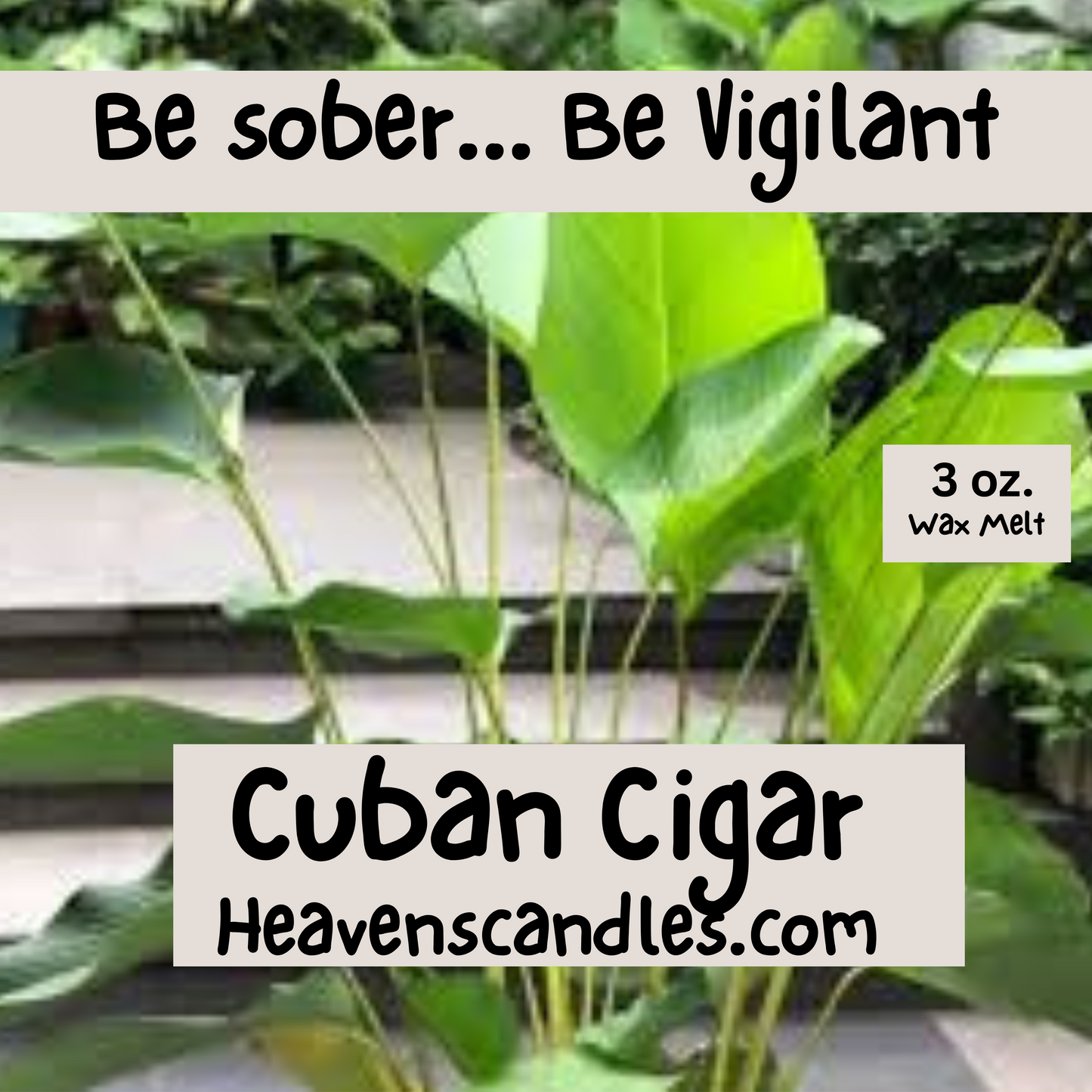 Cuban Cigar (Strong)