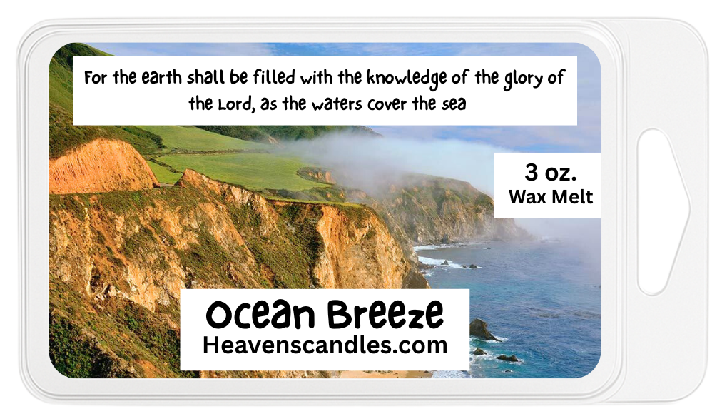 Ocean Breeze 3 oz. Wax Melt