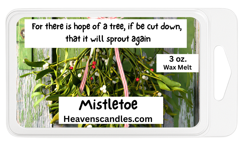 Mistletoe 3 oz. Wax Melt