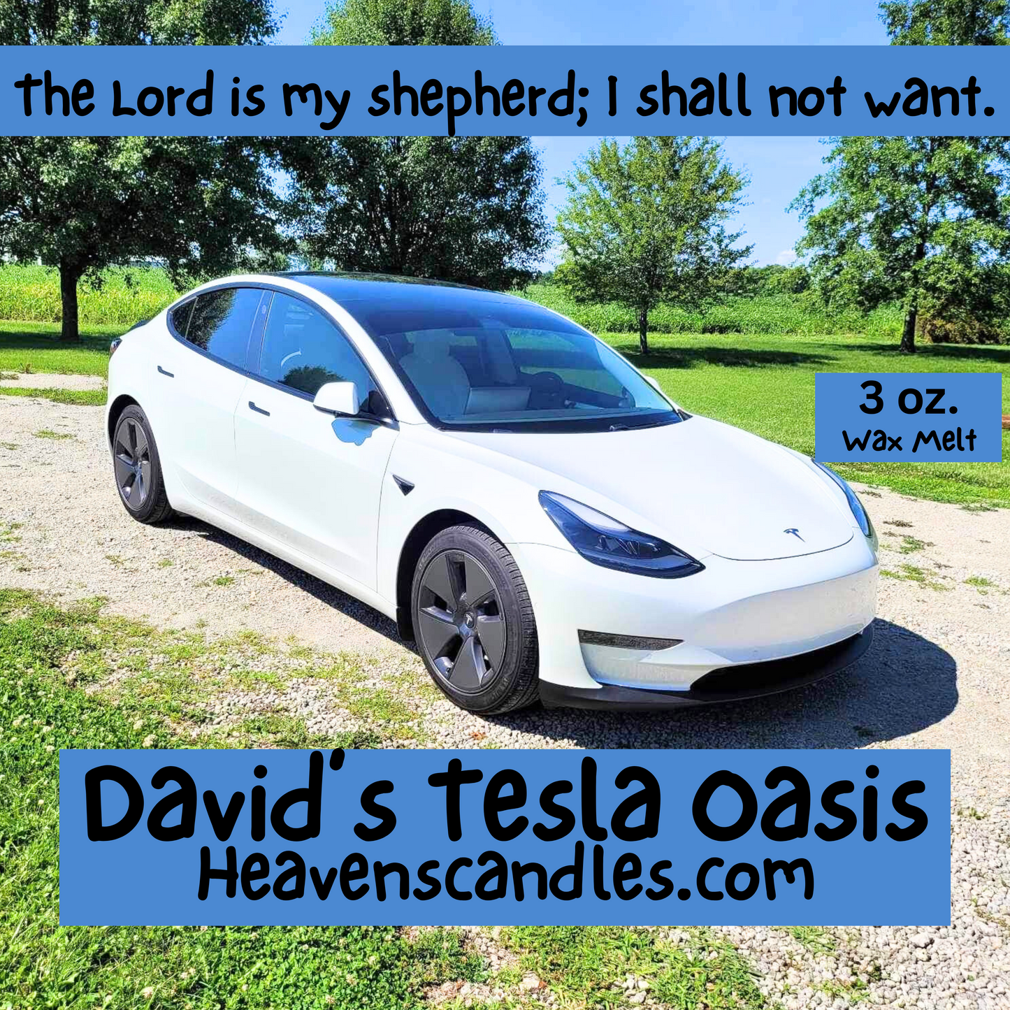 David’s Tesla Oasis (Mild)