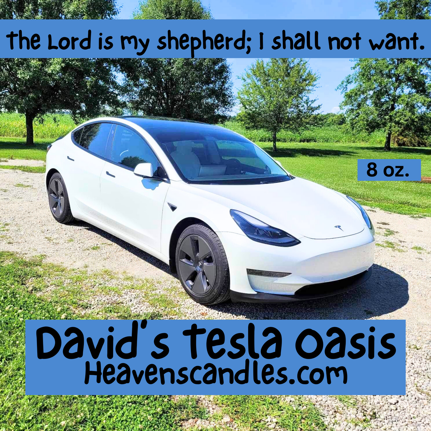 David’s Tesla Oasis (Mild)