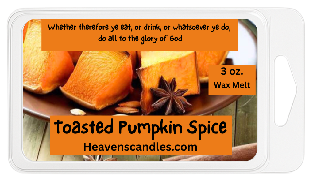 Toasted Pumpkin Spice 3 oz. Wax Melt