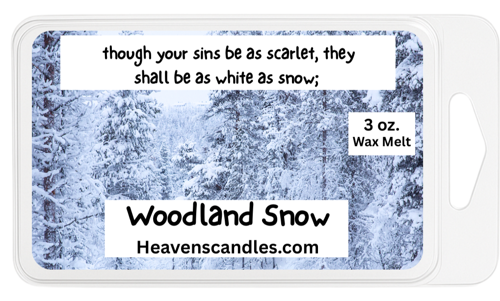 Winter Wax Melts