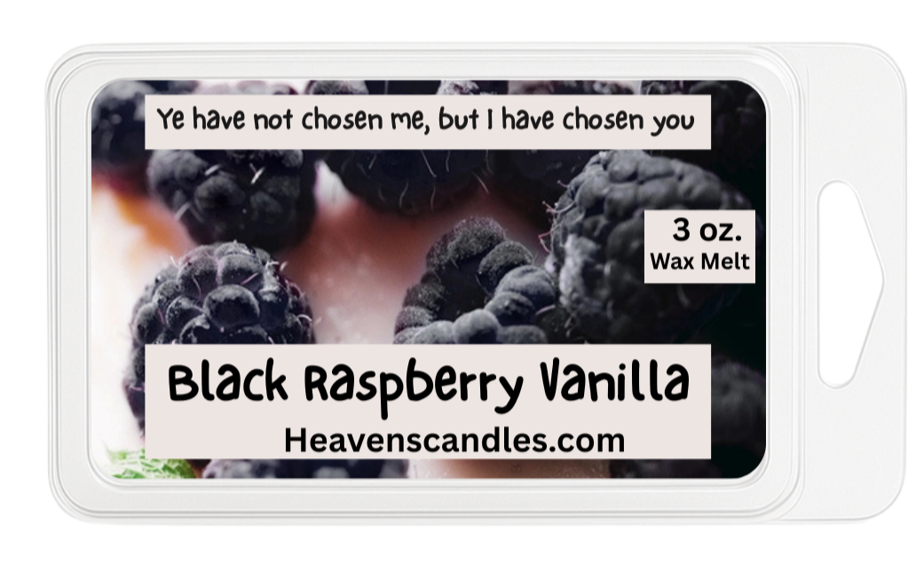 Black Raspberry Vanilla 3 oz. Wax Melt