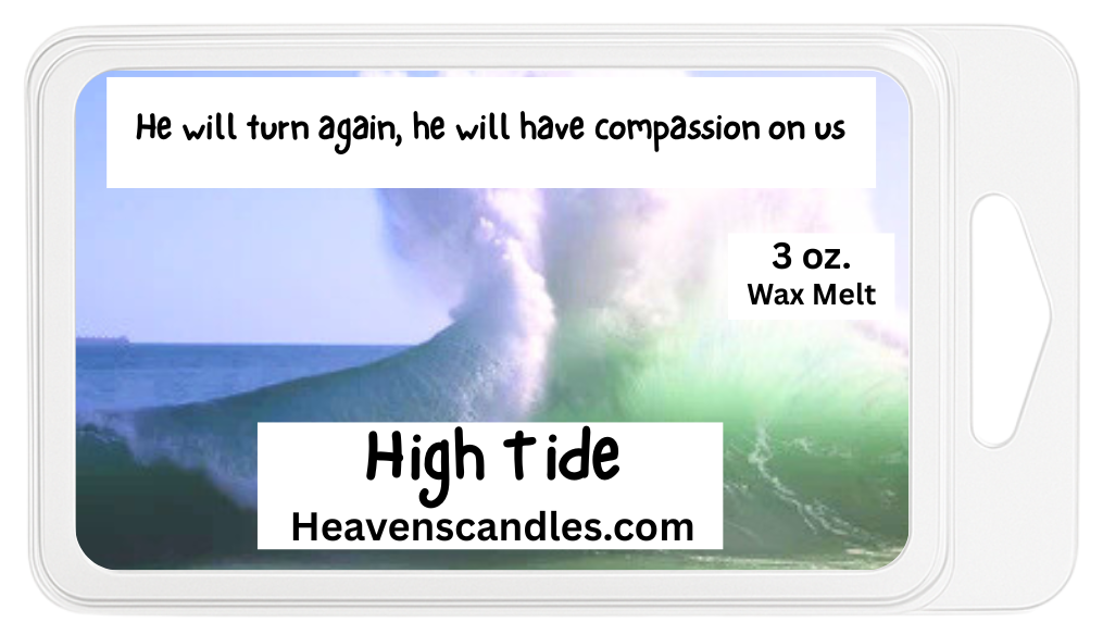 High Tide 3 oz. Wax Melt