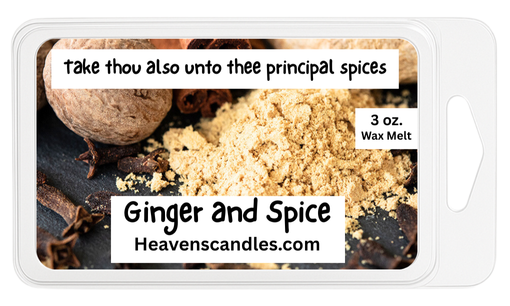 Winter Wax Melts