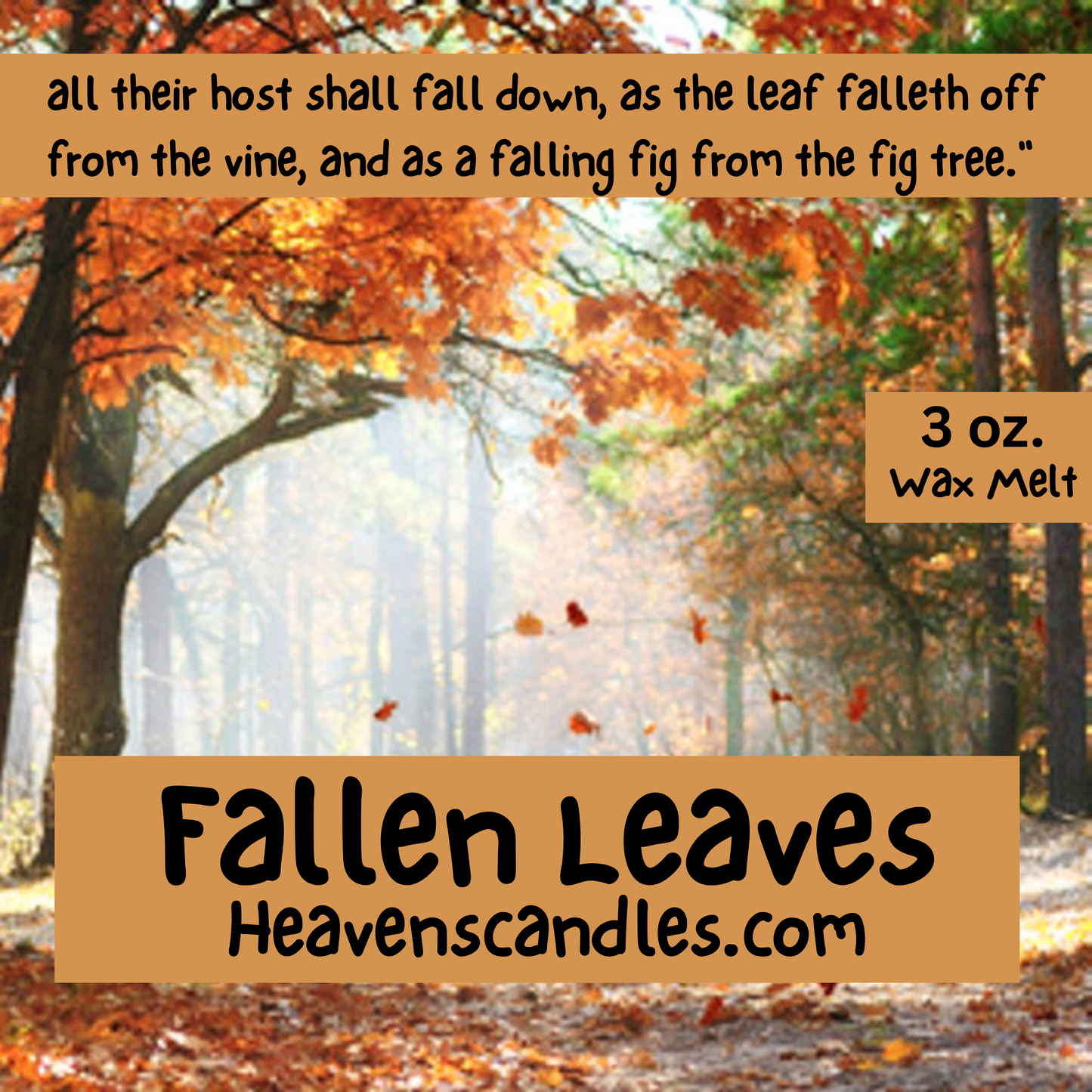 Fallen Leaves