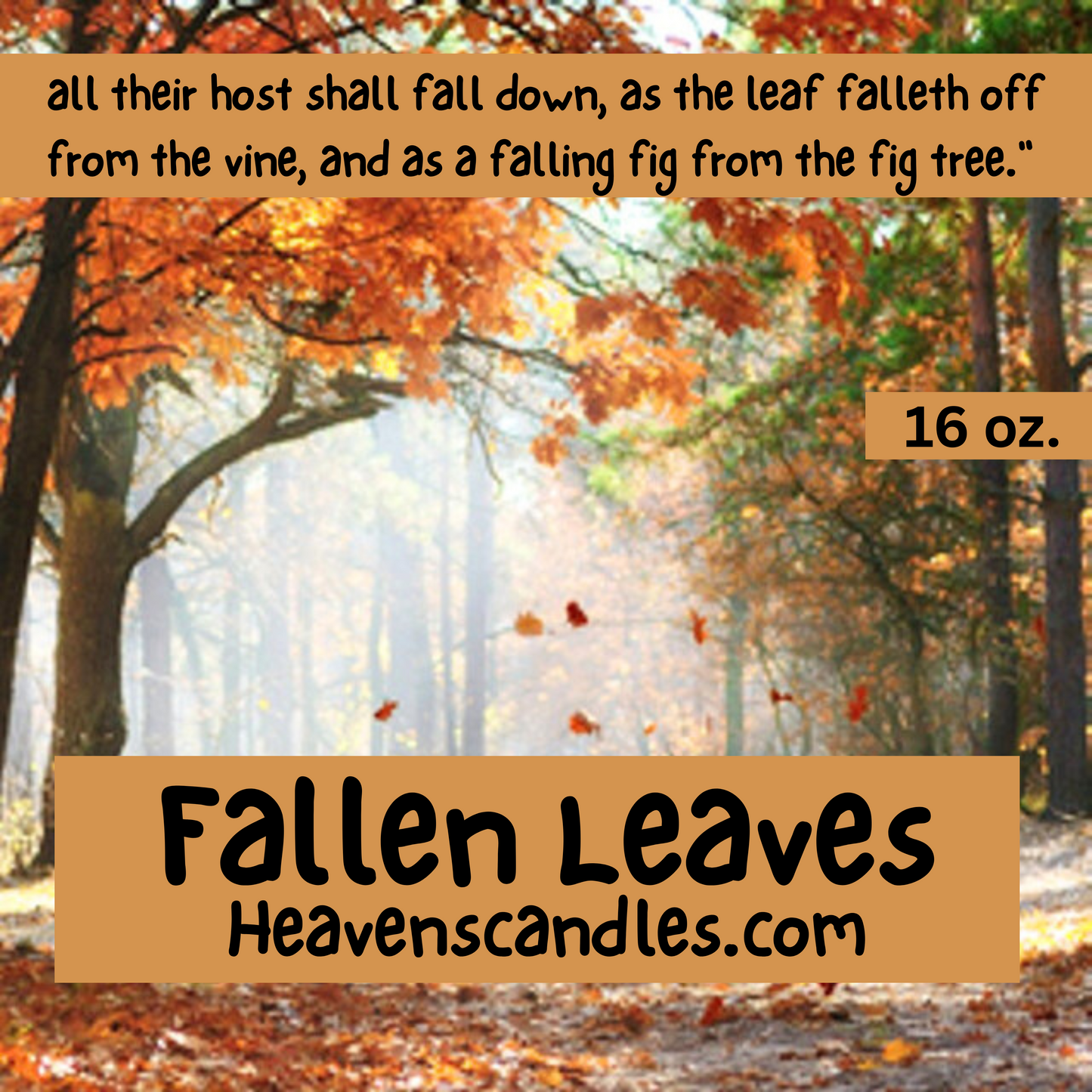 Fallen Leaves