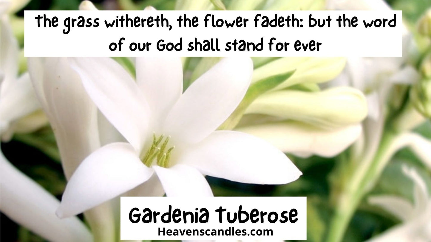 Gardenia Tuberose (Strong)