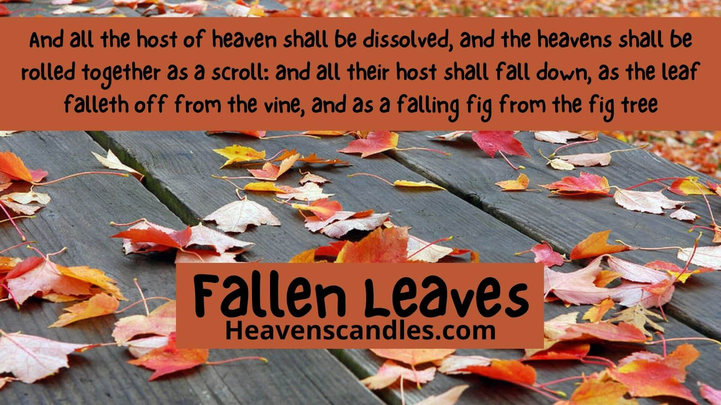 Fallen Leaves