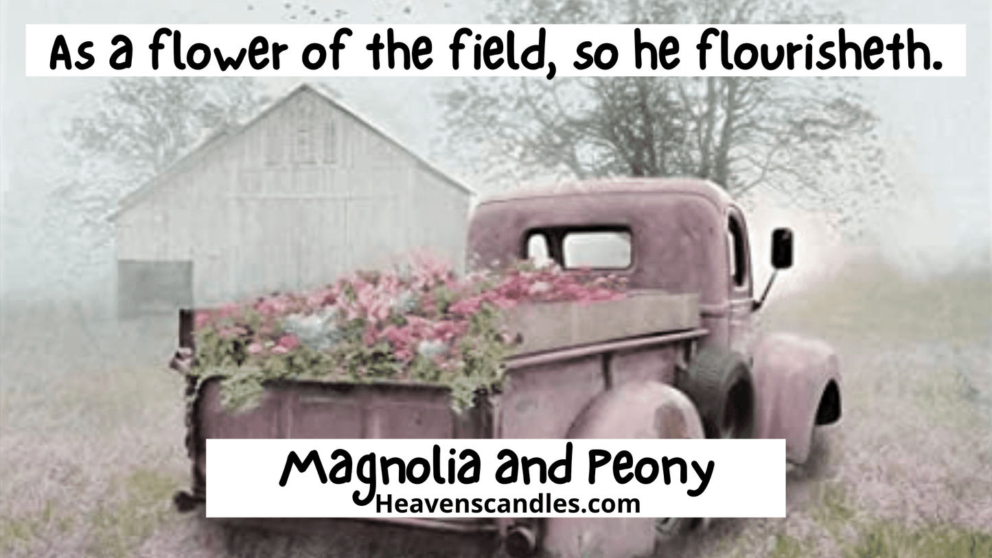 Magnolia and Peony (Strong)