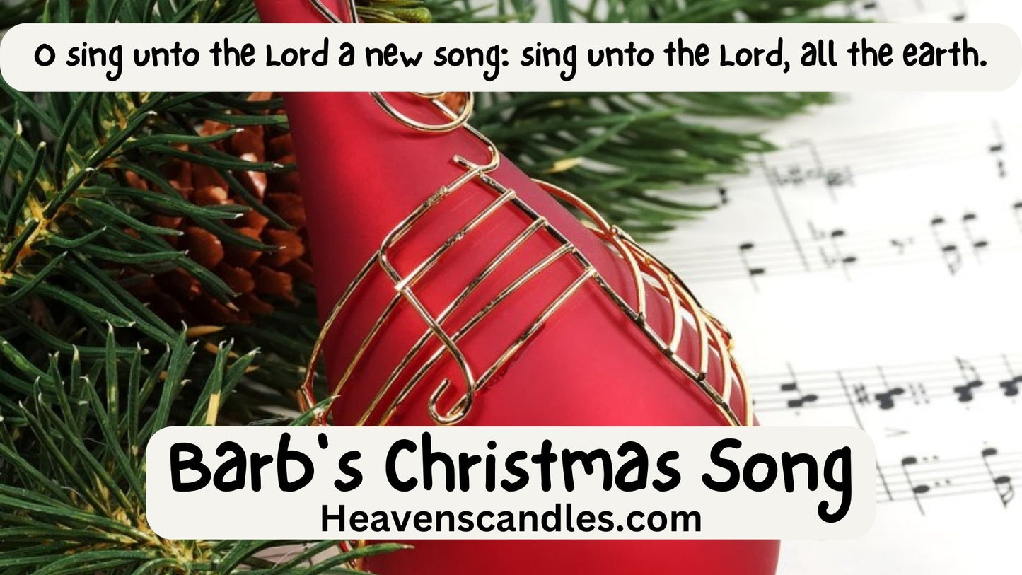 Barb's Christmas Song (Mild)