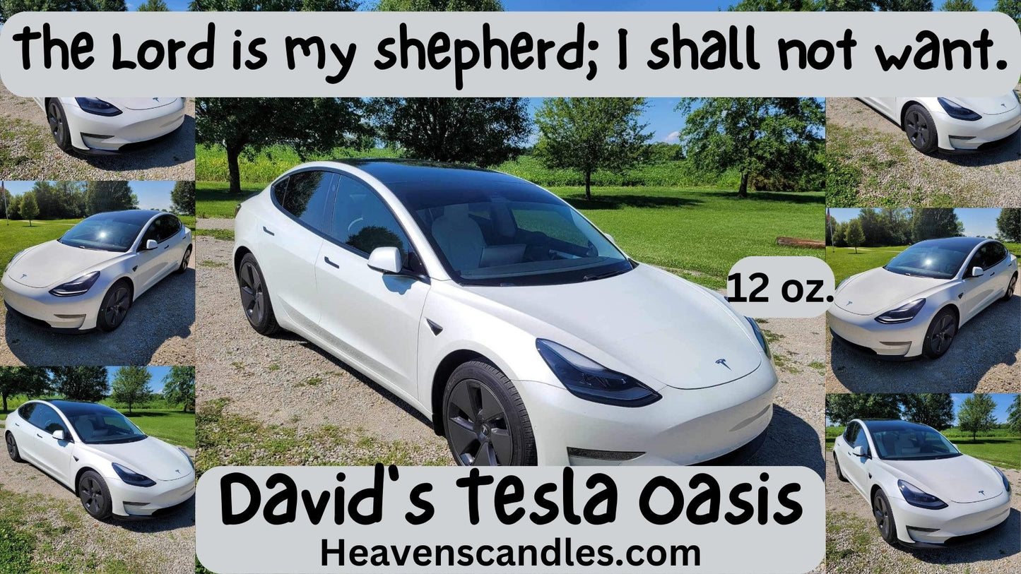 David’s Tesla Oasis (Mild)