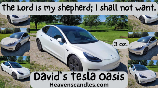 David’s Tesla Oasis (Mild)