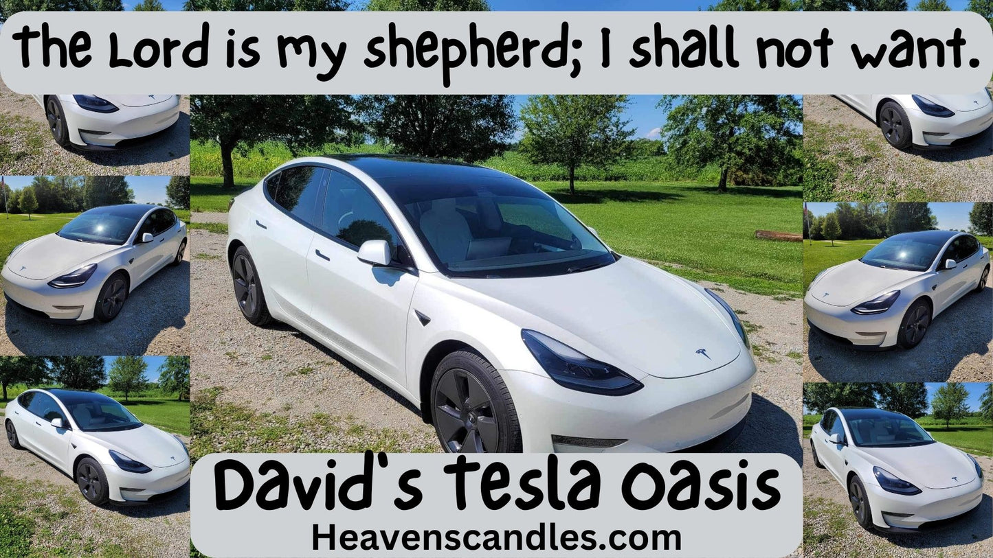 David’s Tesla Oasis (Mild)