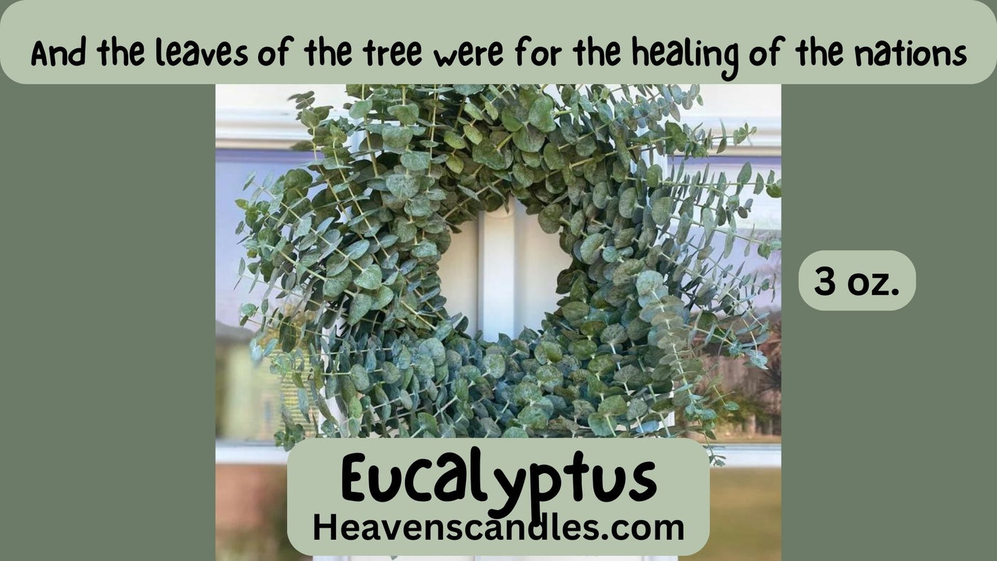 Eucalyptus (Strong)