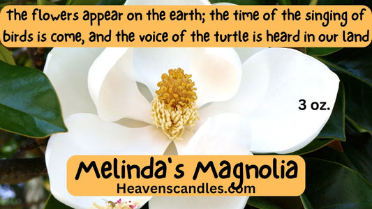 Melinda’s Magnolia (Mild)