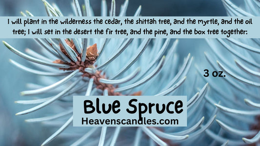 Blue Spruce (Mild)