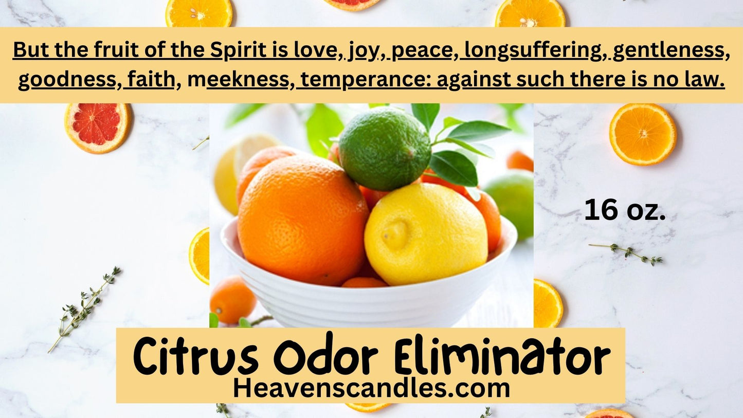 Citrus Odor Eliminator