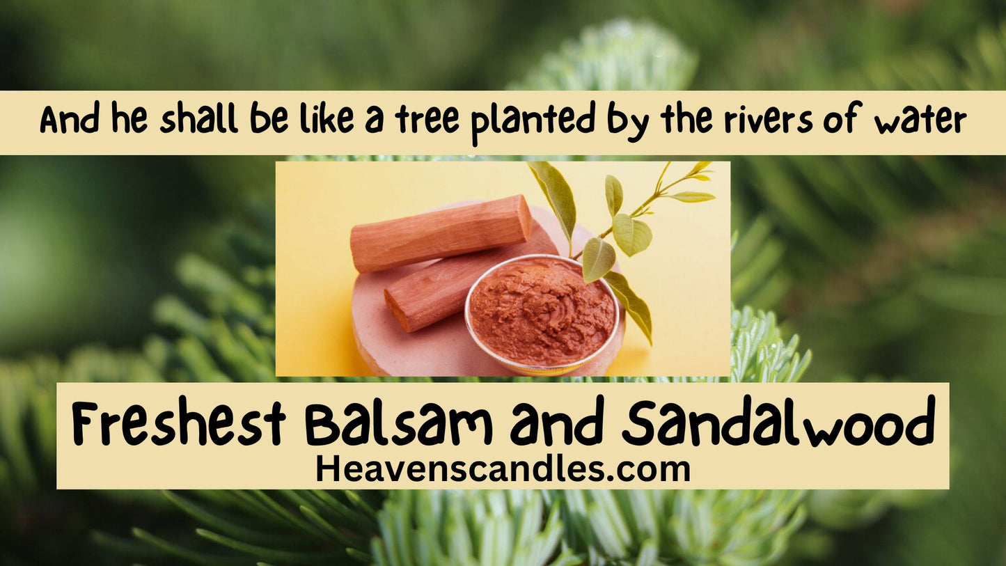 Freshest Balsam and Sandalwood