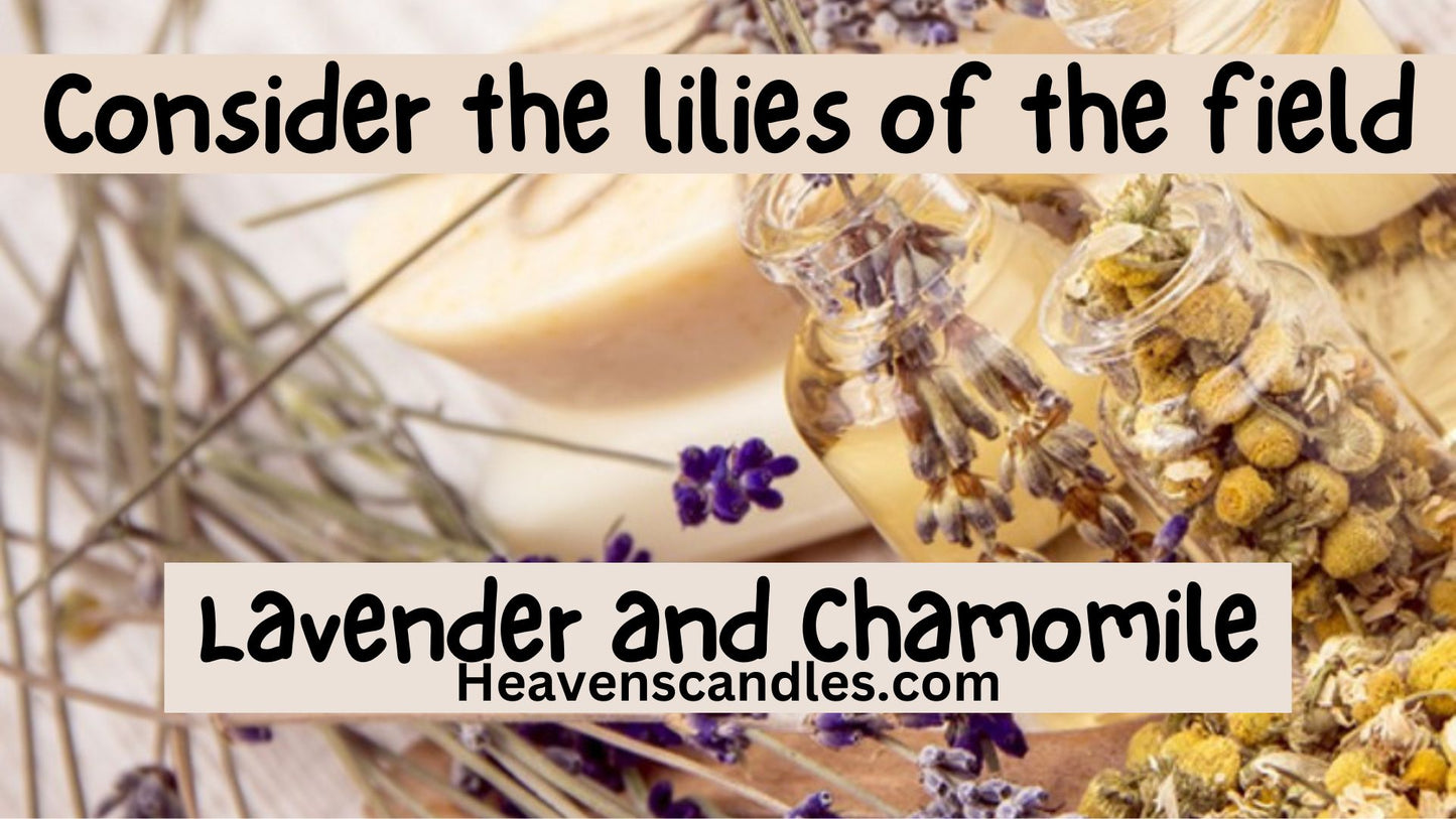 Lavender Chamomile