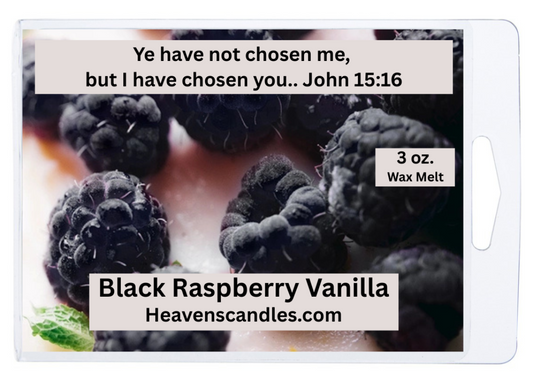 Black Raspberry Vanilla 3 oz. Wax Melt