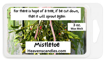 Winter Wax Melts