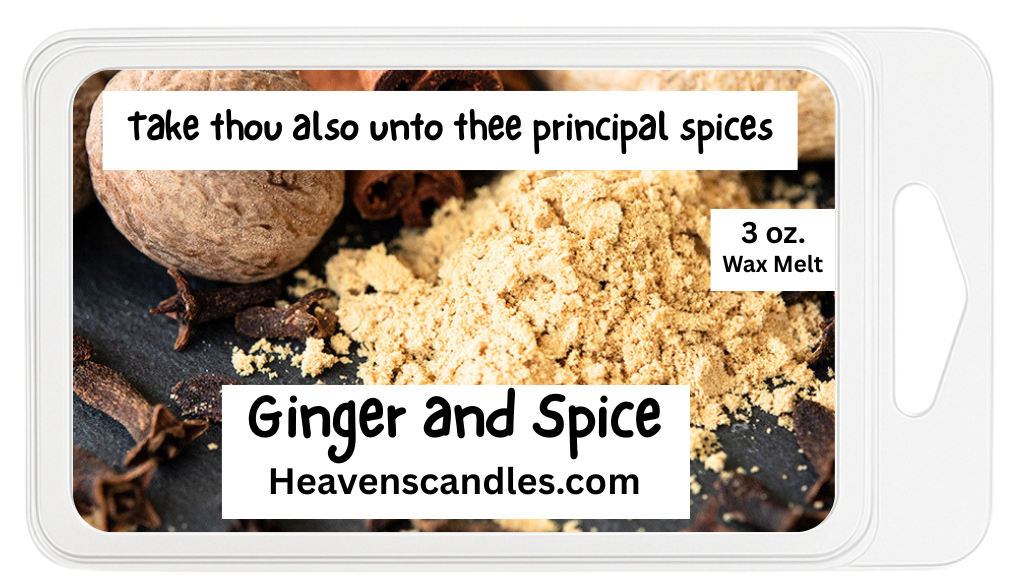 Ginger and Spice 3 oz. Wax Melt